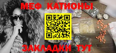 стафф Кингисепп