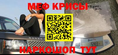 стафф Кингисепп