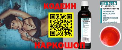 стафф Кингисепп