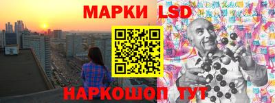 стафф Кингисепп