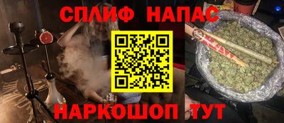 стафф Кингисепп