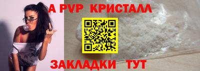 стафф Кингисепп