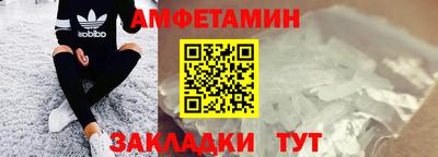 стафф Кингисепп