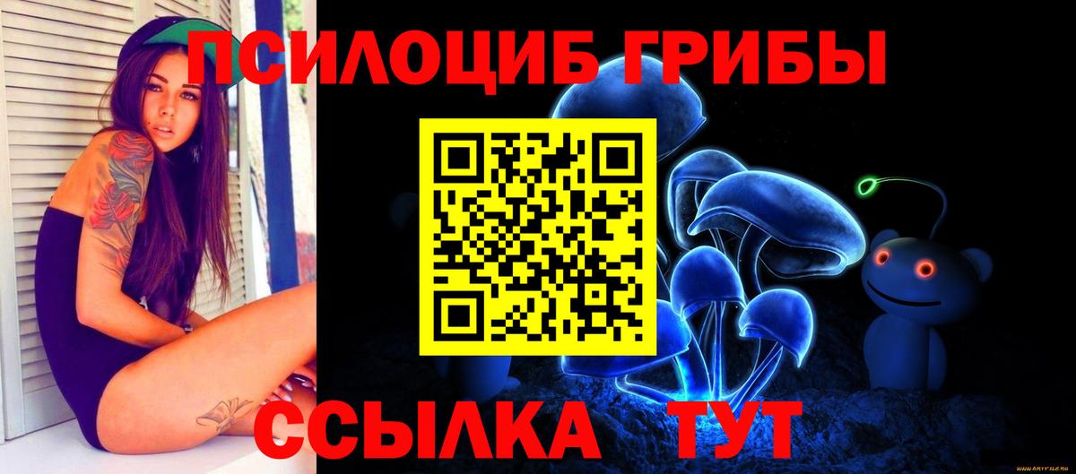Галлюциногенные грибы прущие грибы Котельники